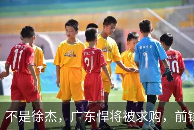 不是徐杰，广东悍将被求购，前锋，杜锋看重，转会费或8位数