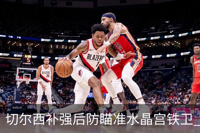 切尔西补强后防瞄准水晶宫铁卫 有合适报价可出售查洛巴