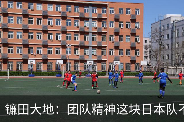 镰田大地：团队精神这块日本队不输任何对手，但个人实力差距明显