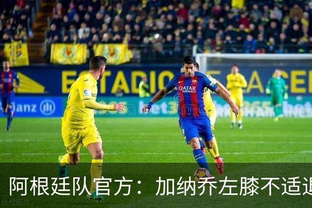 阿根廷队官方：加纳乔左膝不适退出本期国家队